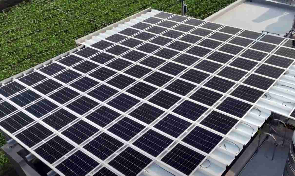 尊龙集团SunSteel光电浪板升级双玻结构，，，，以提升机械负载强度及气候耐候度，，，可广泛运用于多元场域